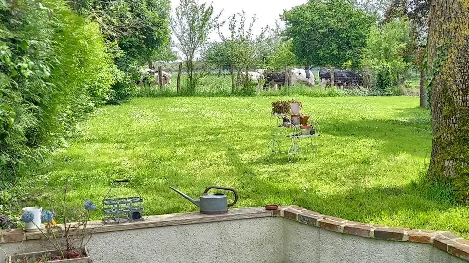 Jardin du Romarande avec les vaches dans le pré voisin