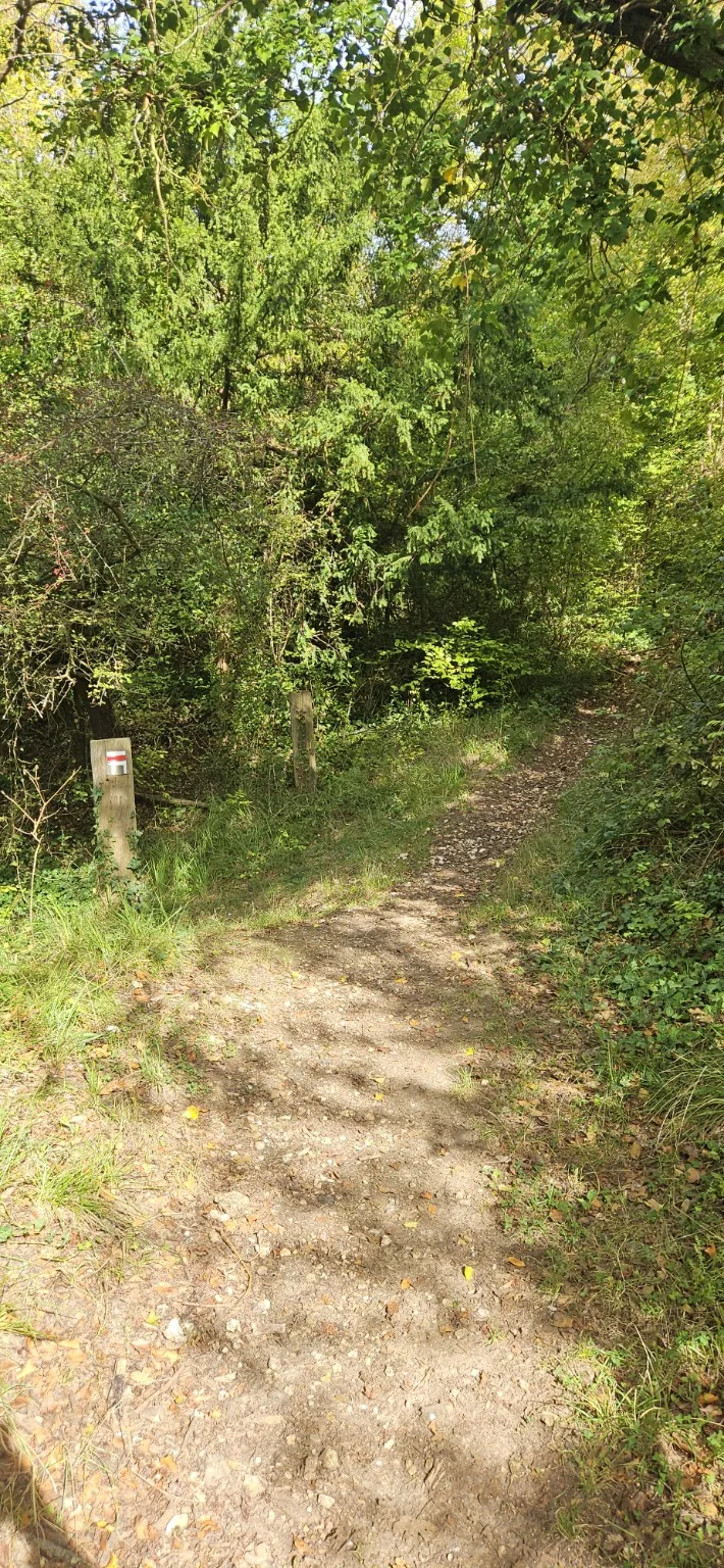 Intersection sur le sentier avec le balisage blanc et rouge du GR2 visible sur le poteau