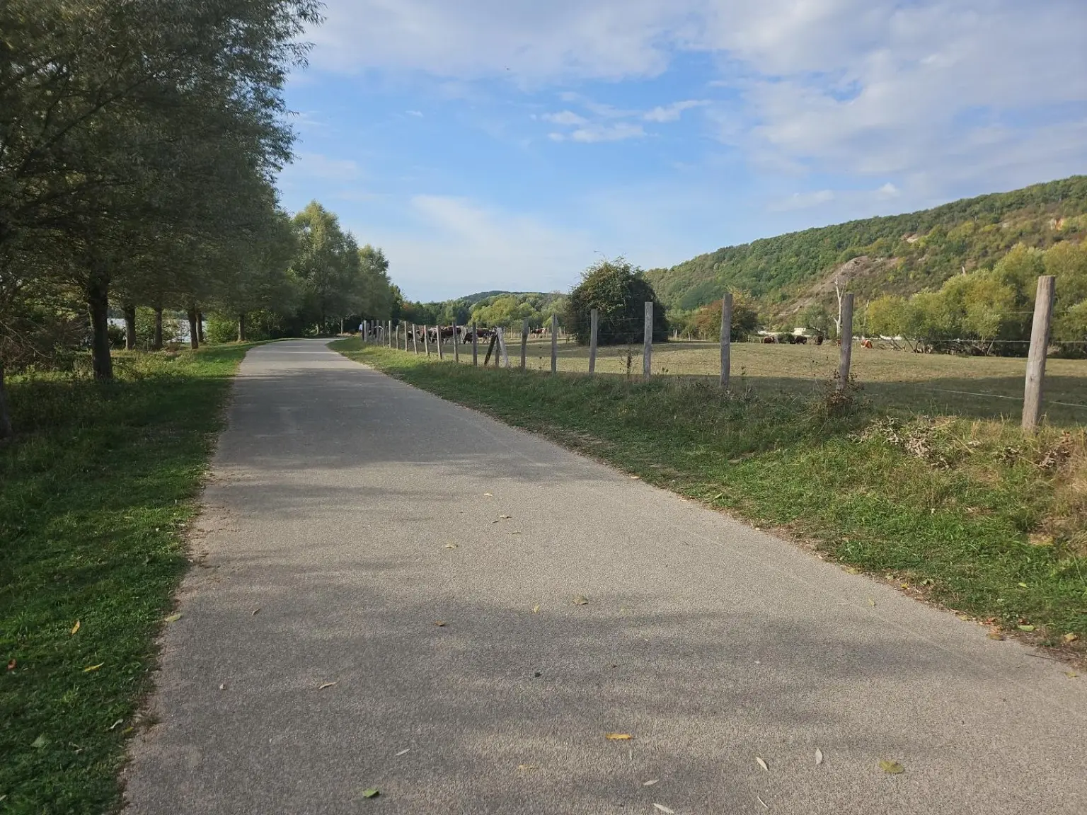 Voie verte entre les prairies et les coteaux crayeux près de Giverny